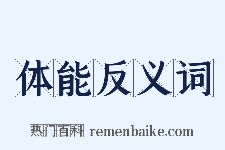 体能反义词是什么意思的图片